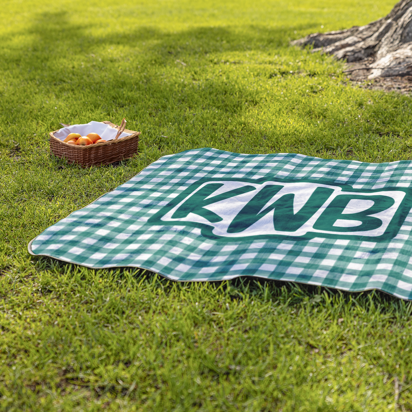 Gingham_Monogram_Blanket_StadiumBlanket_Lifestyle_Grass_H_Mockup.png